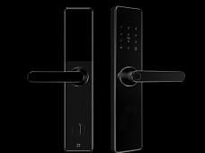 青松沃德-Wi-Fi 指紋鎖家用防盜門智能門鎖密碼鎖刷卡電子鎖 防磁干擾 防撬 L9-WT (不含鎖體，鎖體需另購(gòu)）